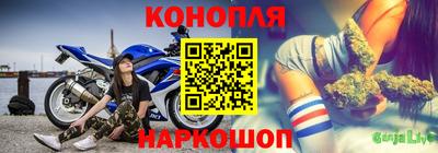 шишки Балашиха