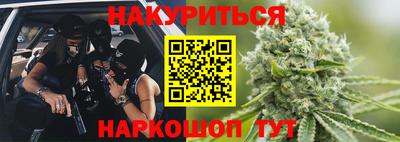 шишки Балашиха