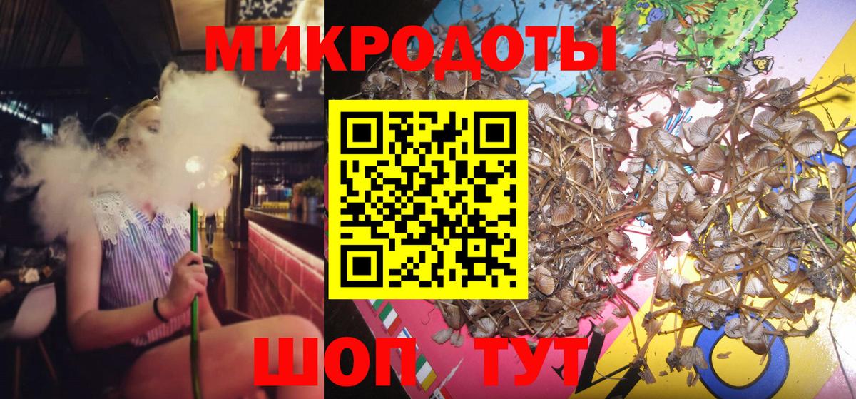Галлюциногенные грибы Psilocybine cubensis  Вход с VPN  наркота  Елизово 
