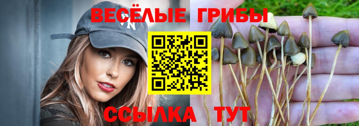 Псилоцибиновые грибы MAGIC MUSHROOMS Елизово